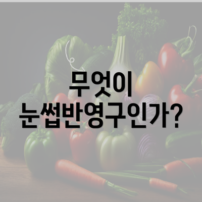 무엇이 눈썹반영구인가?