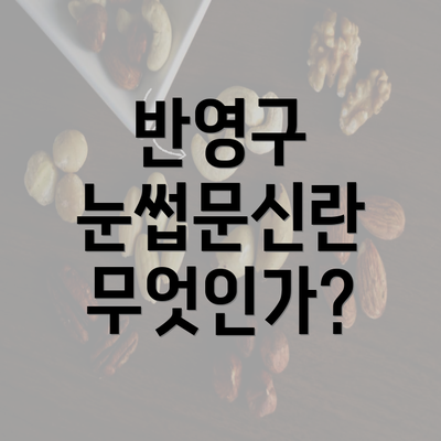 반영구 눈썹문신란 무엇인가?