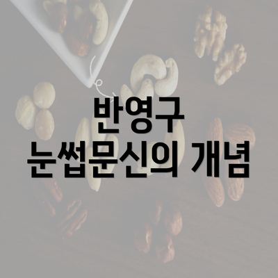 반영구 눈썹문신의 개념