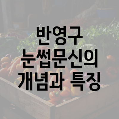 반영구 눈썹문신의 개념과 특징