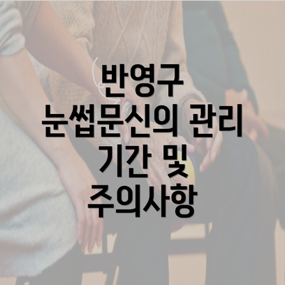 반영구 눈썹문신의 관리 기간 및 주의사항