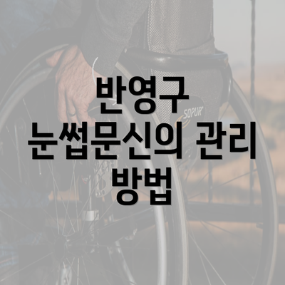 반영구 눈썹문신의 관리 방법