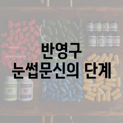 반영구 눈썹문신의 단계