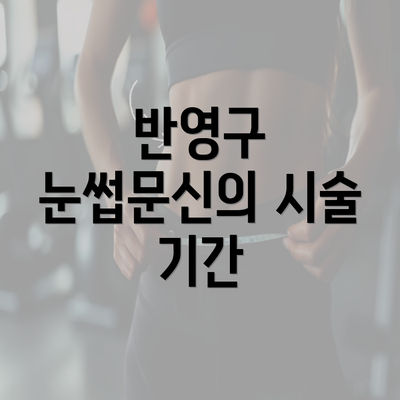 반영구 눈썹문신의 시술 기간