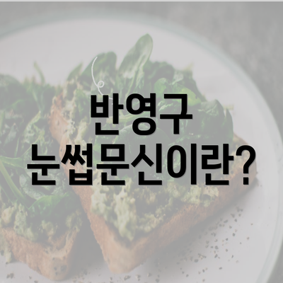 반영구 눈썹문신이란?