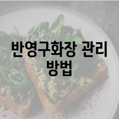 반영구화장 관리 방법