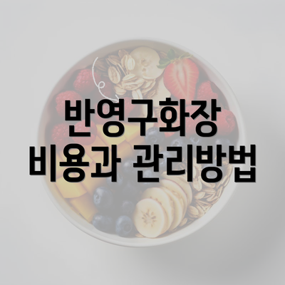 반영구화장 비용과 관리방법