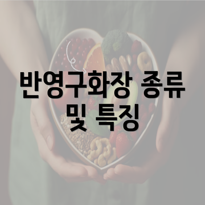 반영구화장 종류 및 특징