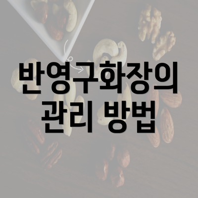 반영구화장의 관리 방법