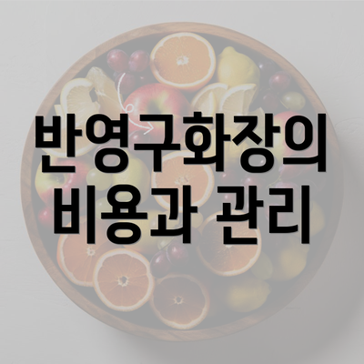 반영구화장의 비용과 관리