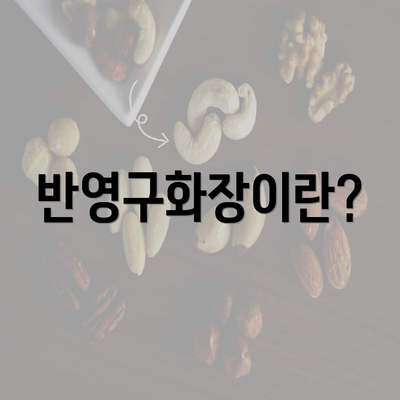 반영구화장이란?