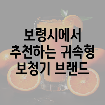 보령시에서 추천하는 귀속형 보청기 브랜드