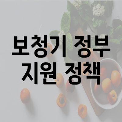 보청기 정부 지원 정책