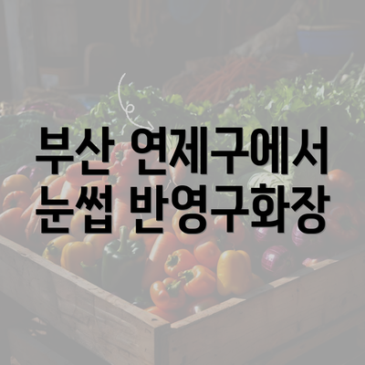 부산 연제구에서 눈썹 반영구화장