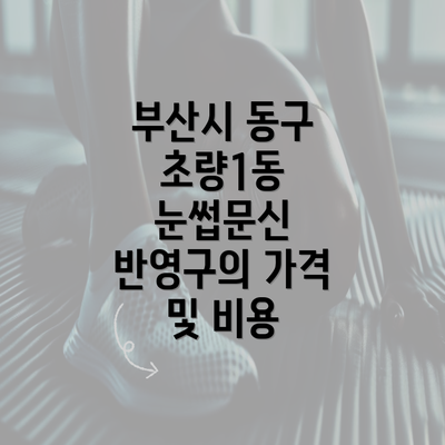 부산시 동구 초량1동 눈썹문신 반영구의 가격 및 비용