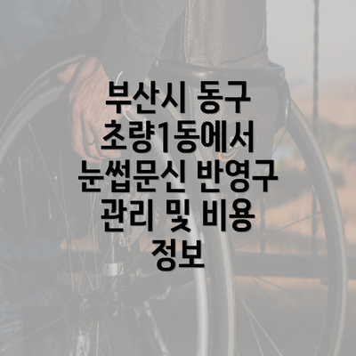 부산시 동구 초량1동에서 눈썹문신 반영구 관리 및 비용 정보