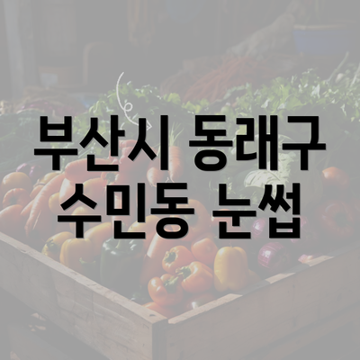 부산시 동래구 수민동 눈썹