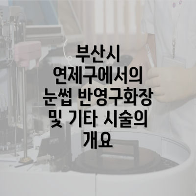 부산시 연제구에서의 눈썹 반영구화장 및 기타 시술의 개요