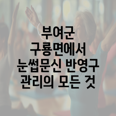 부여군 구룡면에서 눈썹문신 반영구 관리의 모든 것