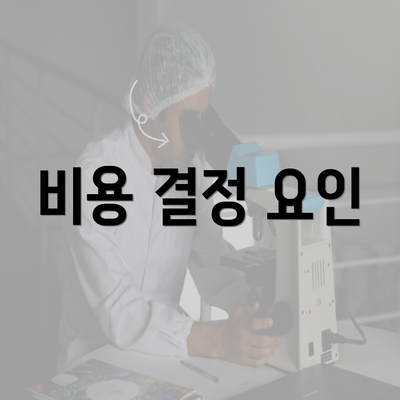 비용 결정 요인