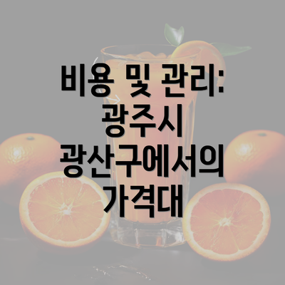 비용 및 관리: 광주시 광산구에서의 가격대