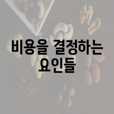 비용을 결정하는 요인들