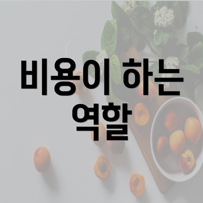 비용이 하는 역할