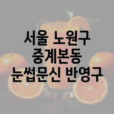 서울 노원구 중계본동 눈썹문신 반영구