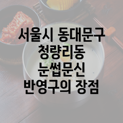 서울시 동대문구 청량리동 눈썹문신 반영구의 장점