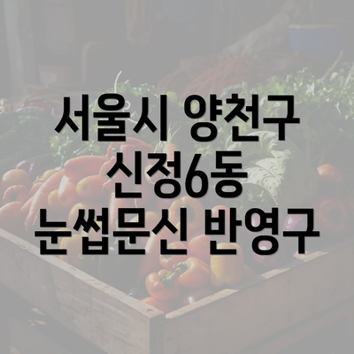 서울시 양천구 신정6동 눈썹문신 반영구