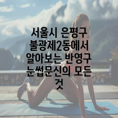 서울시 은평구 불광제2동에서 알아보는 반영구 눈썹문신의 모든 것