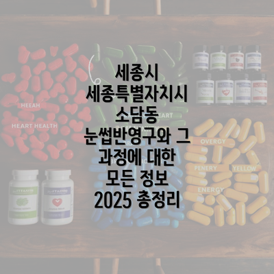 세종시 세종특별자치시 소담동 눈썹반영구와 그 과정에 대한 모든 정보 2025 총정리