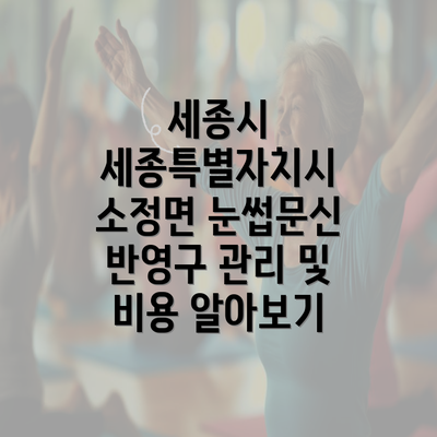 세종시 세종특별자치시 소정면 눈썹문신 반영구 관리 및 비용 알아보기