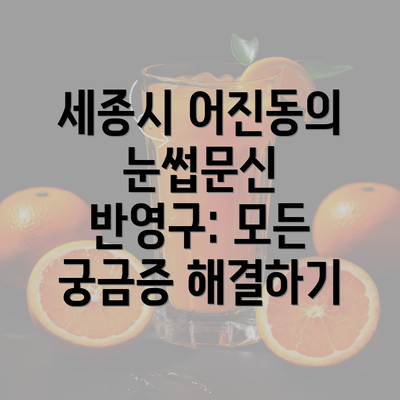 세종시 어진동의 눈썹문신 반영구: 모든 궁금증 해결하기