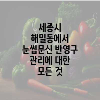 세종시 해밀동에서 눈썹문신 반영구 관리에 대한 모든 것