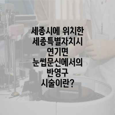 세종시에 위치한 세종특별자치시 연기면 눈썹문신에서의 반영구 시술이란?