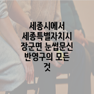 세종시에서 세종특별자치시 장군면 눈썹문신 반영구의 모든 것