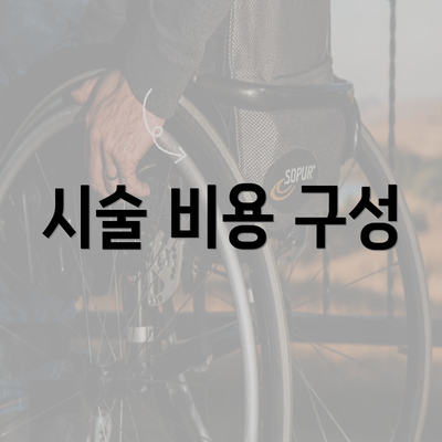 시술 비용 구성