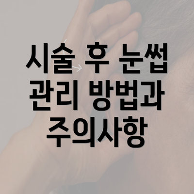 시술 후 눈썹 관리 방법과 주의사항