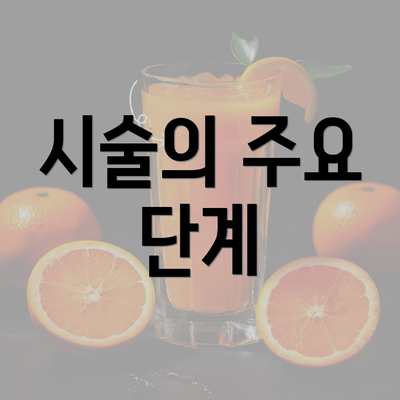 시술의 주요 단계