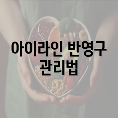 아이라인 반영구 관리법