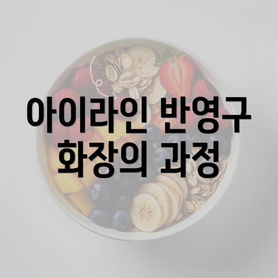 아이라인 반영구 화장의 과정