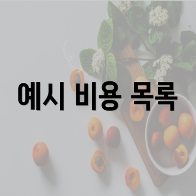 예시 비용 목록