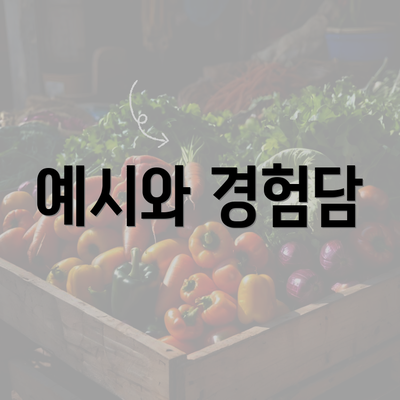 예시와 경험담