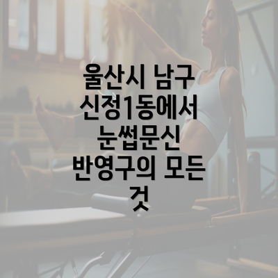 울산시 남구 신정1동에서 눈썹문신 반영구의 모든 것