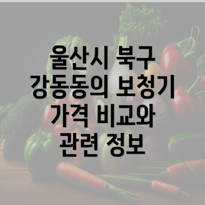 울산시 북구 강동동의 보청기 가격 비교와 관련 정보