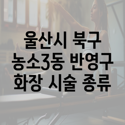 울산시 북구 농소3동 반영구 화장 시술 종류