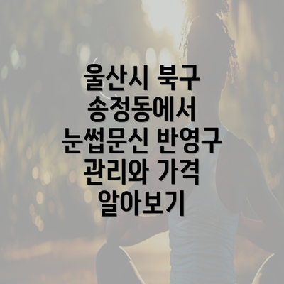 울산시 북구 송정동에서 눈썹문신 반영구 관리와 가격 알아보기