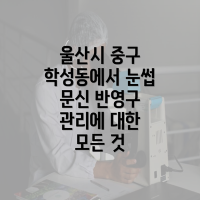 울산시 중구 학성동에서 눈썹 문신 반영구 관리에 대한 모든 것