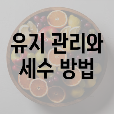 유지 관리와 세수 방법